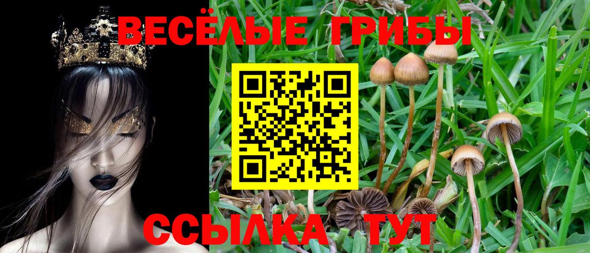 Карпинск  купить  сайты  Вход с VPN  Галлюциногенные грибы мухоморы 